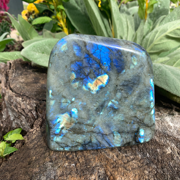 Labradorite Free Form FF3-WZ1075