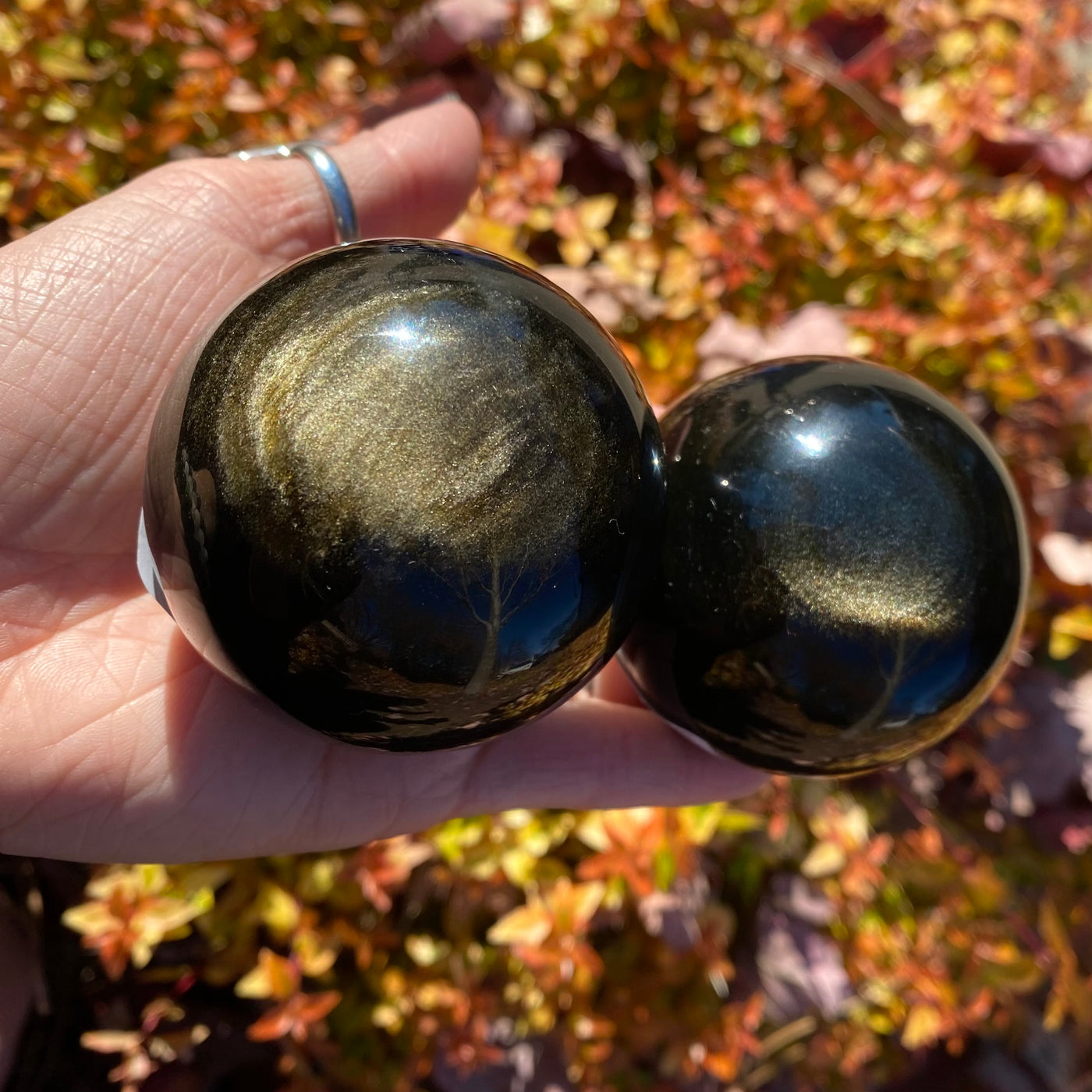 Goldsheen Obsidian Sphere SP14-6
