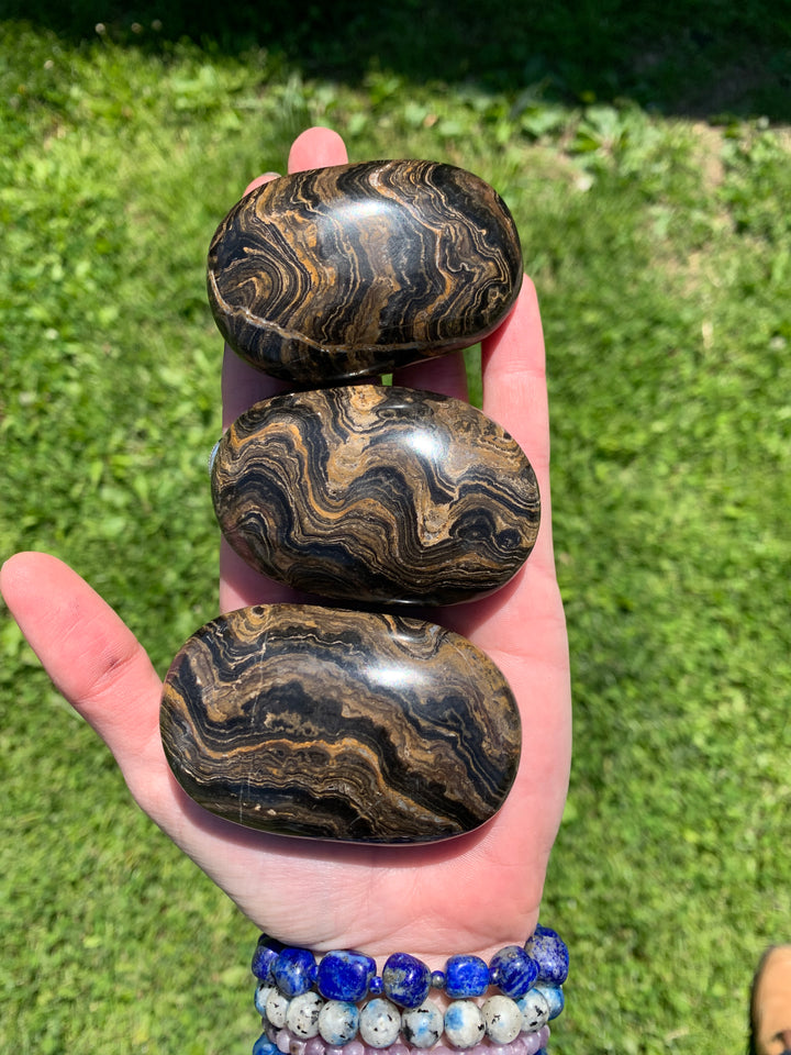 Stromatolite Palm Stone CCEC1287