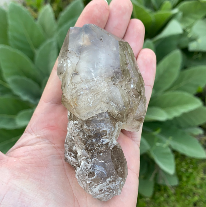 Smoky Elestial Quartz Cluster-ELE2-21