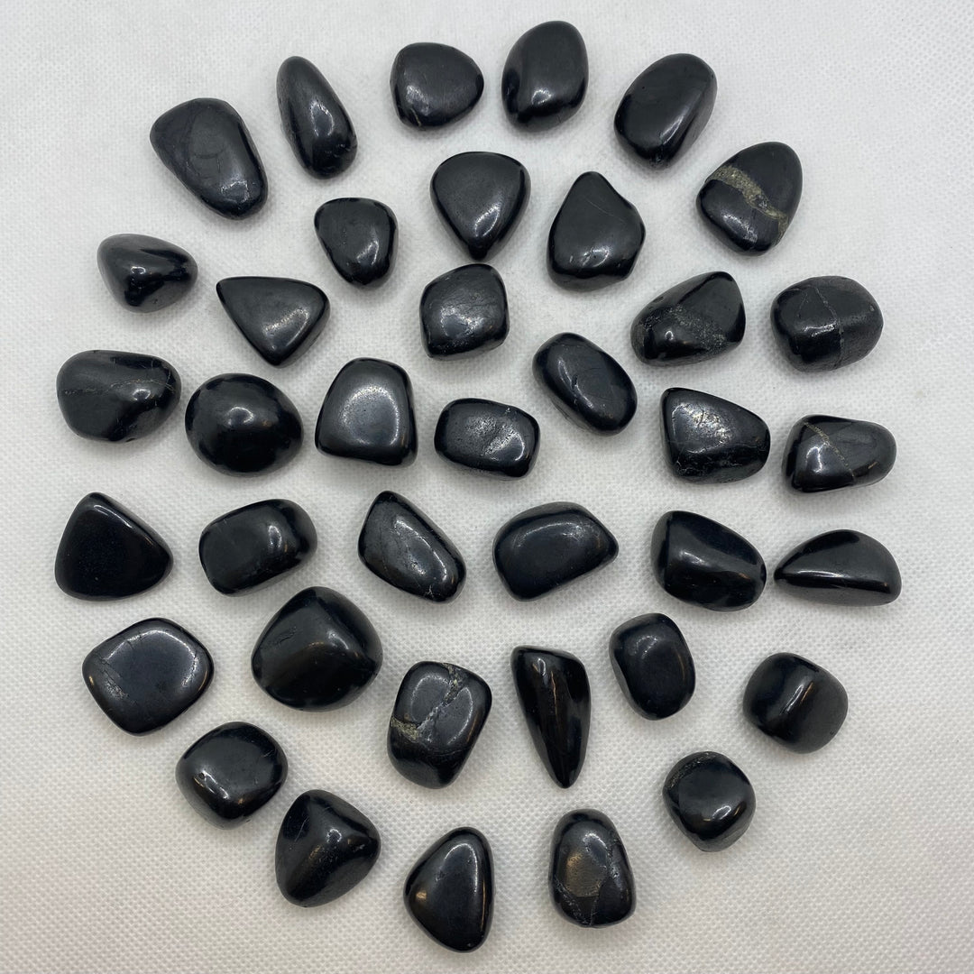 Shungite Polished X208