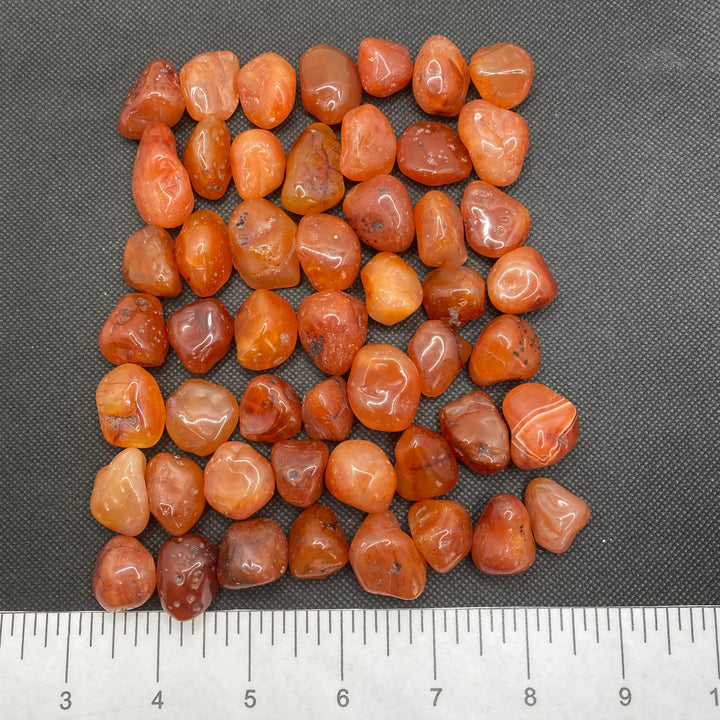 Carnelian Polished C301