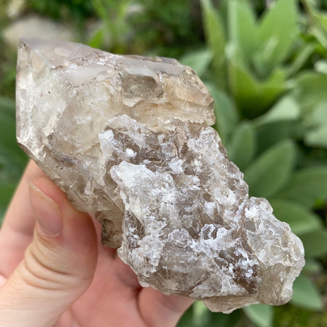 Smoky Elestial Quartz Cluster-ELE2-21