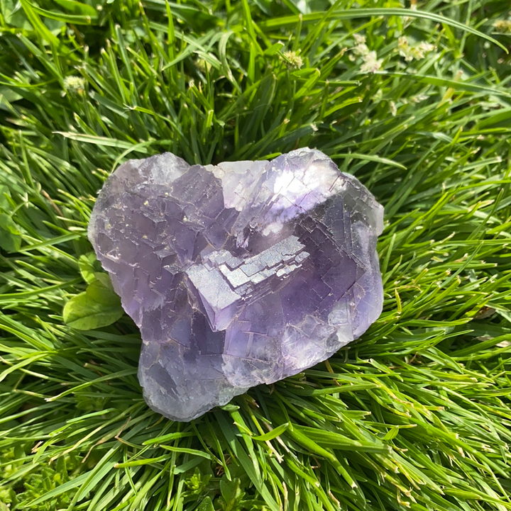 Fluorite Specimen-FLU1-12WZ