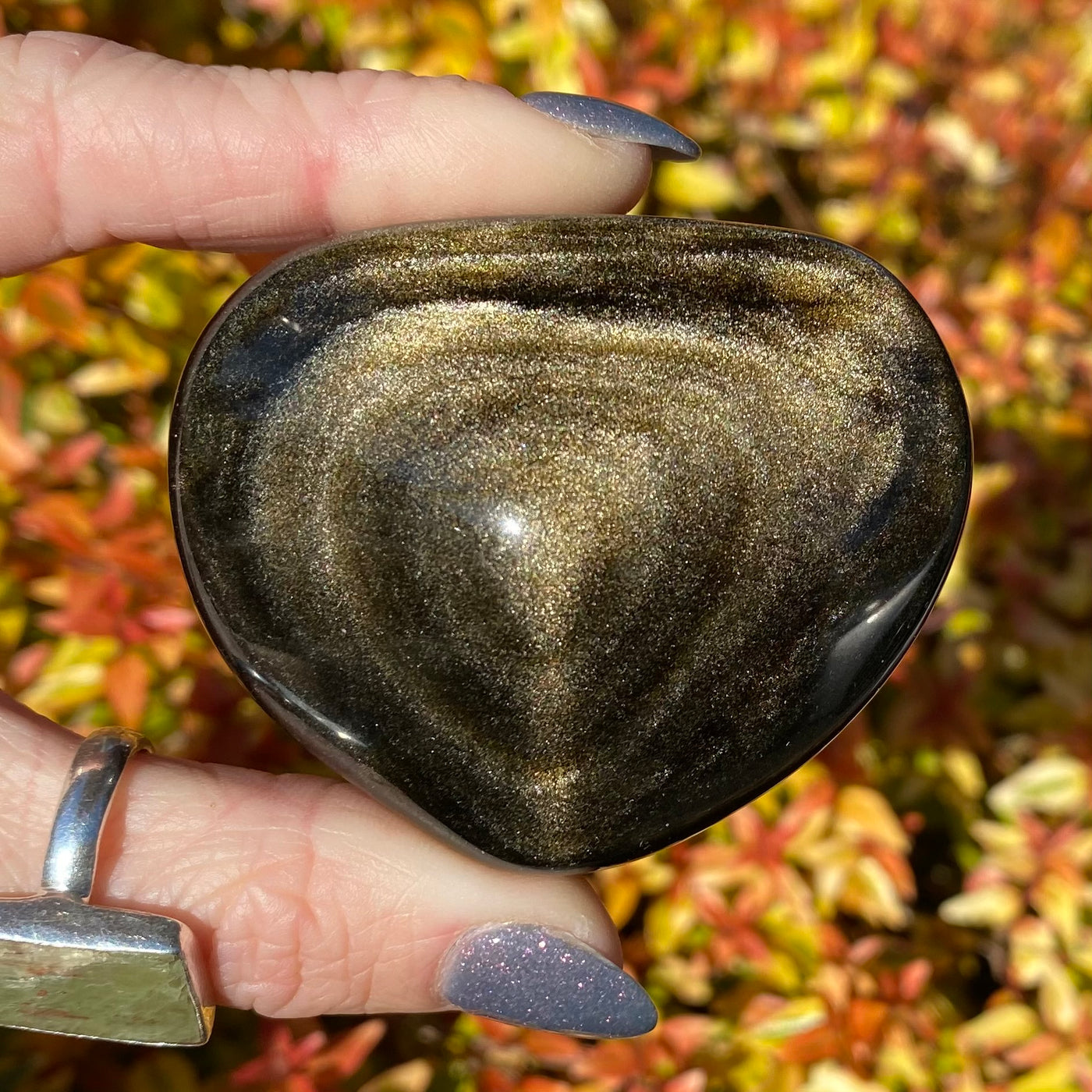 Goldsheen Obsidian Heart-HT15-4