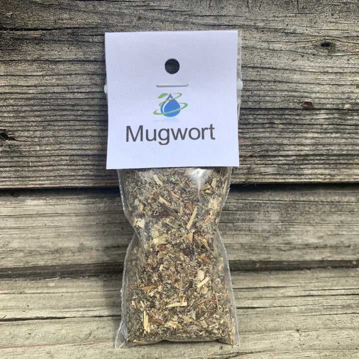 Mugwort