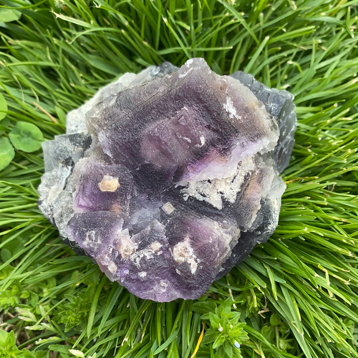 Fluorite Specimen-FLU1-19