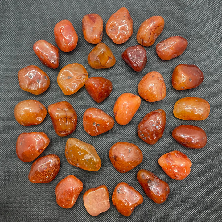 Carnelian Polished C304