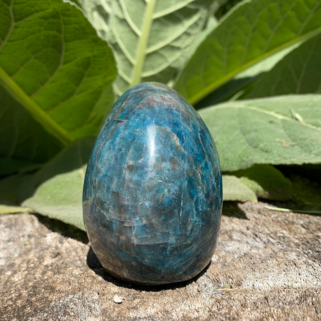 Blue Apatite Free Form-FF22-4