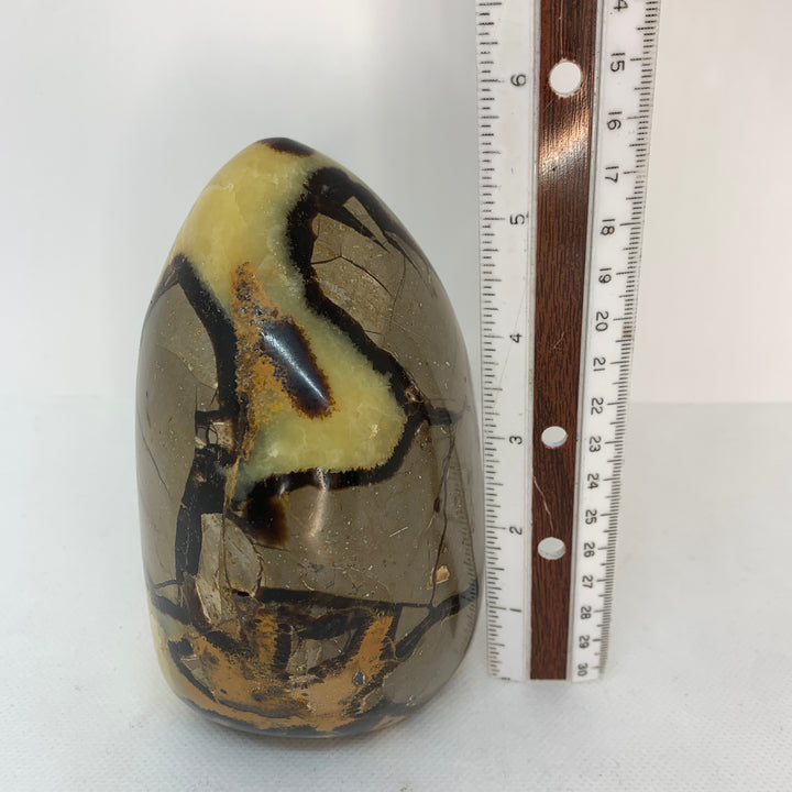 Septarian CCEC650