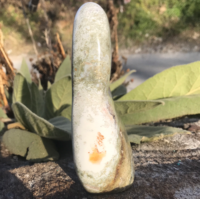 Ocean Jasper Free Form WZ13111