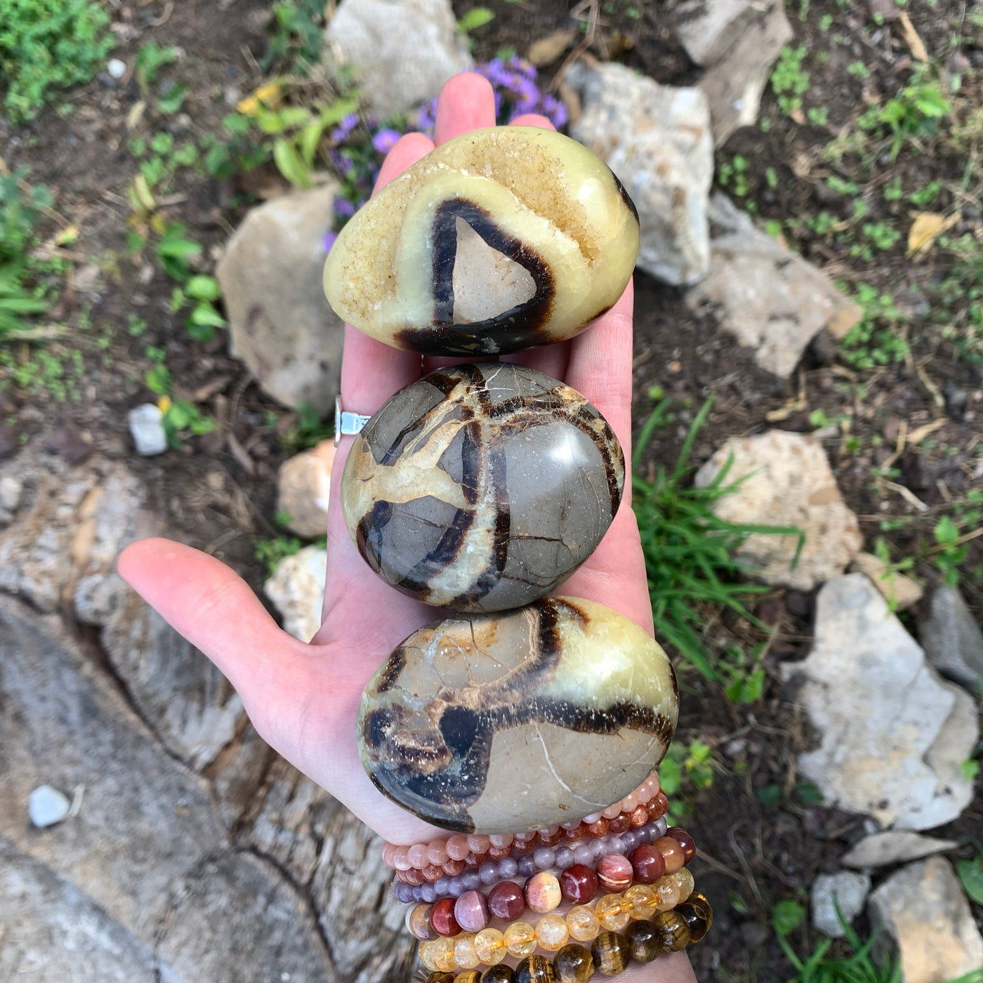 Septarian Palm Stone-PS13-3