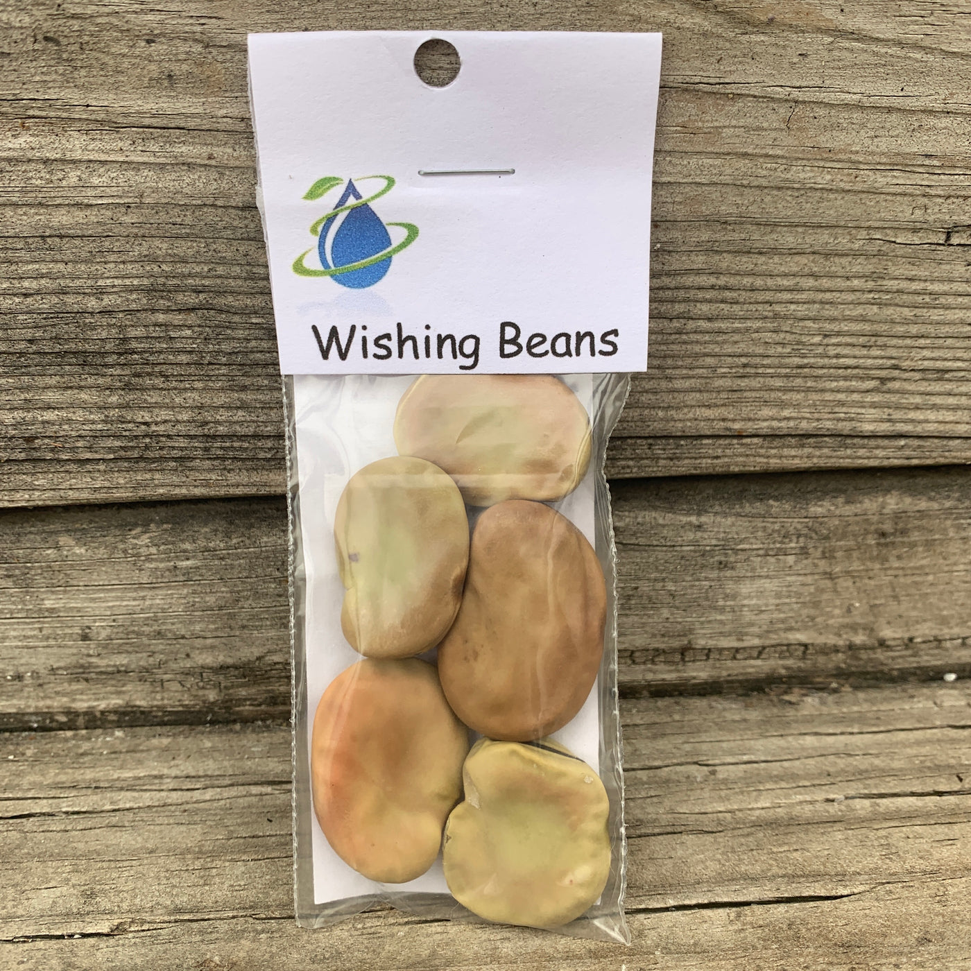 Wishing Beans
