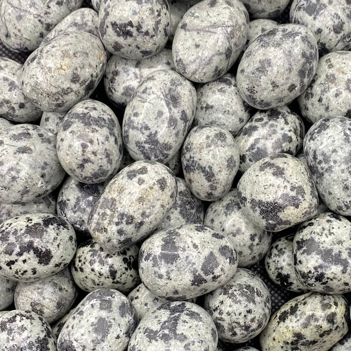 Jasper (Dalmatian) Polished J234