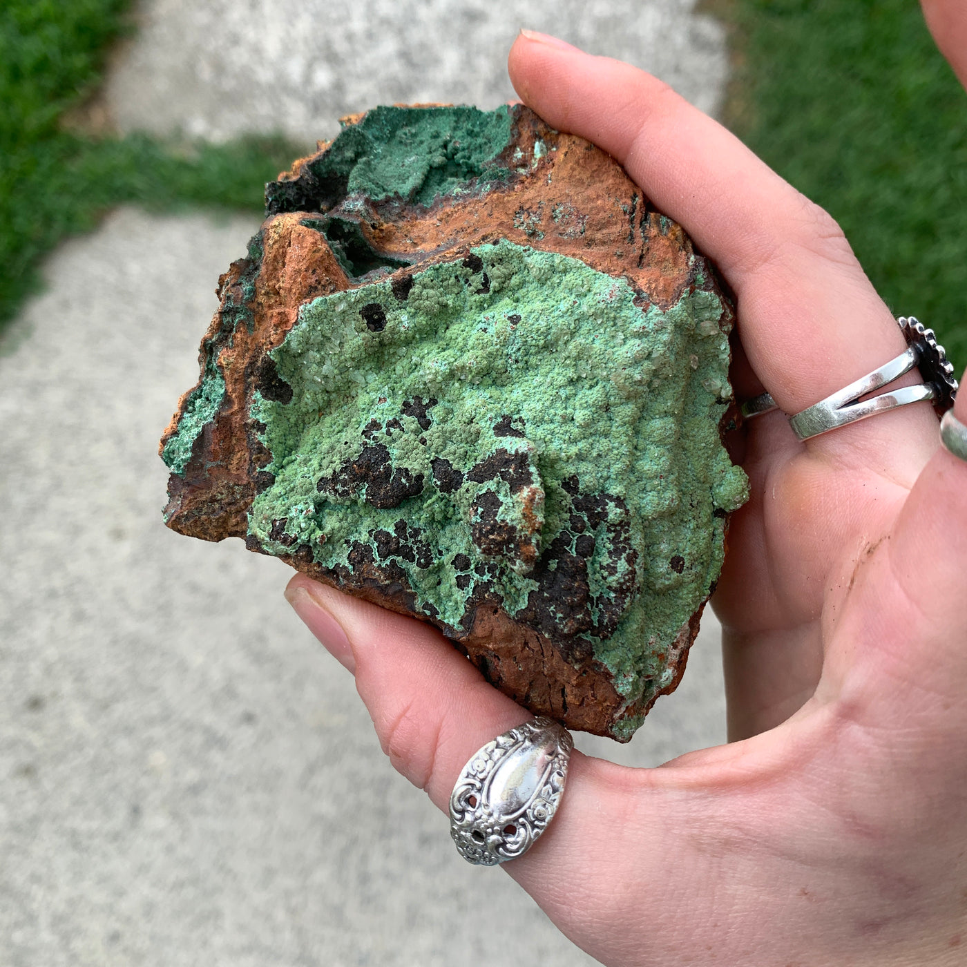 Coni Calcite WZ825b