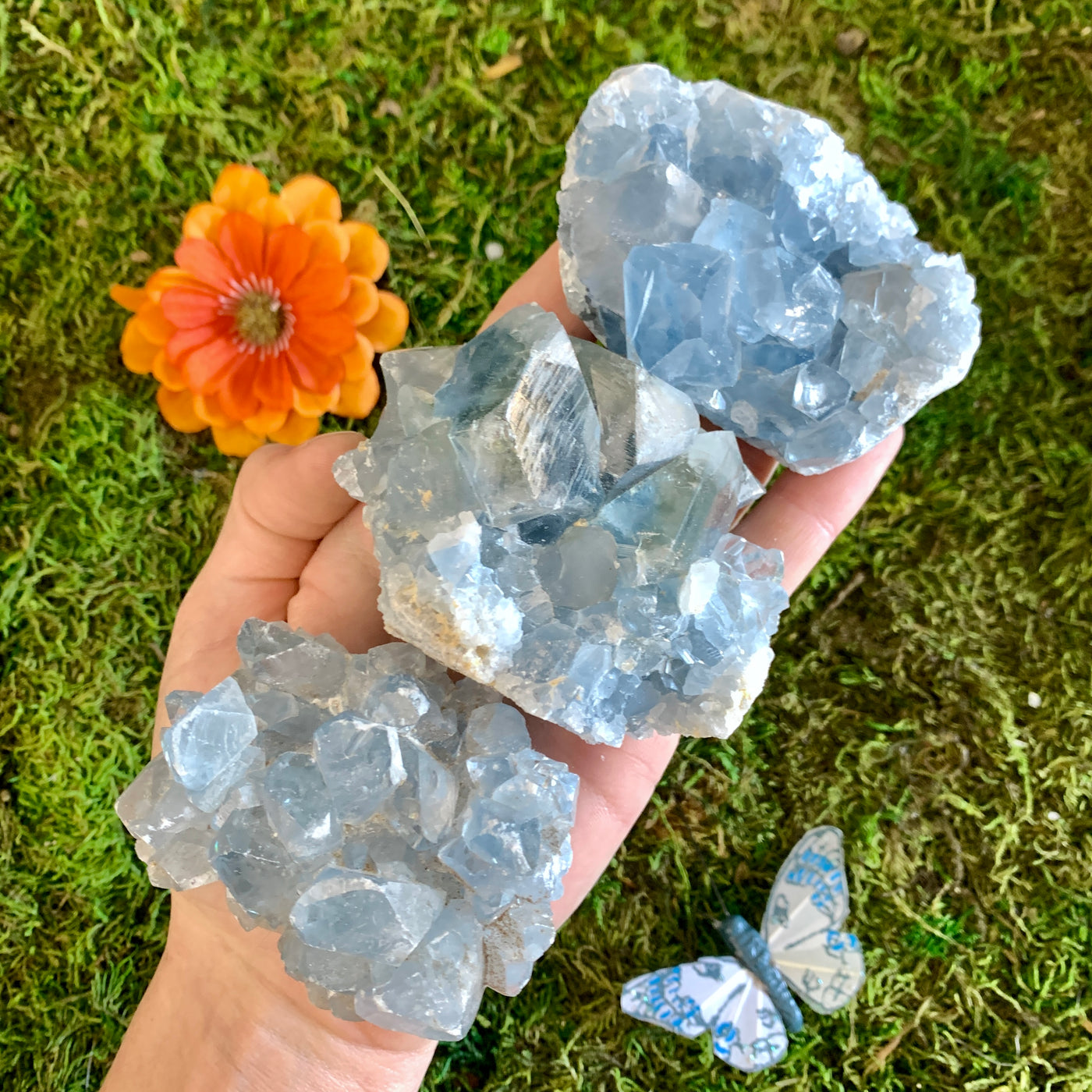 Celestite Cluster Small CEL1-4