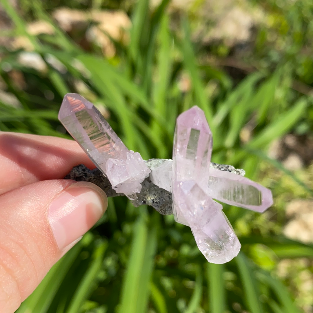 Vera Cruz Amethyst