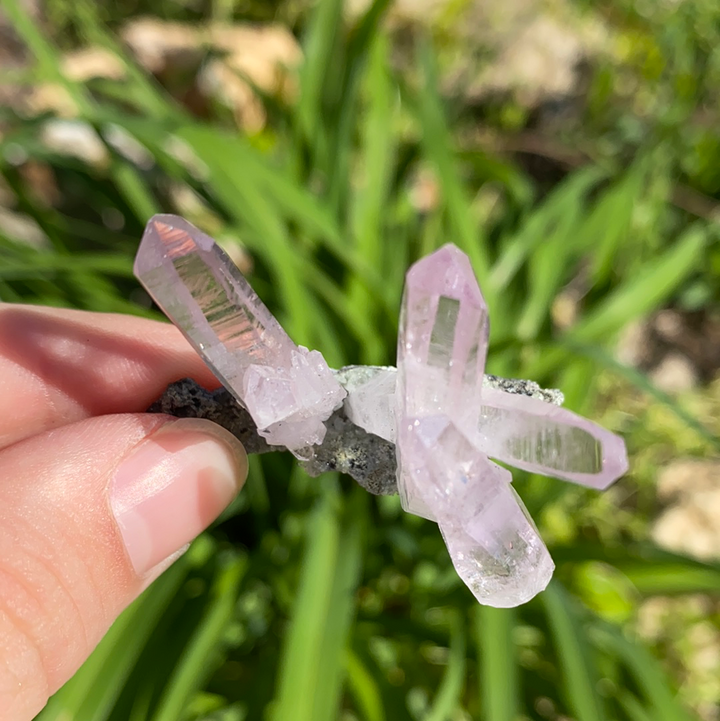 Vera Cruz Amethyst