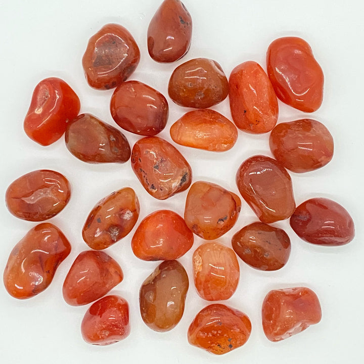 Carnelian Polished C305