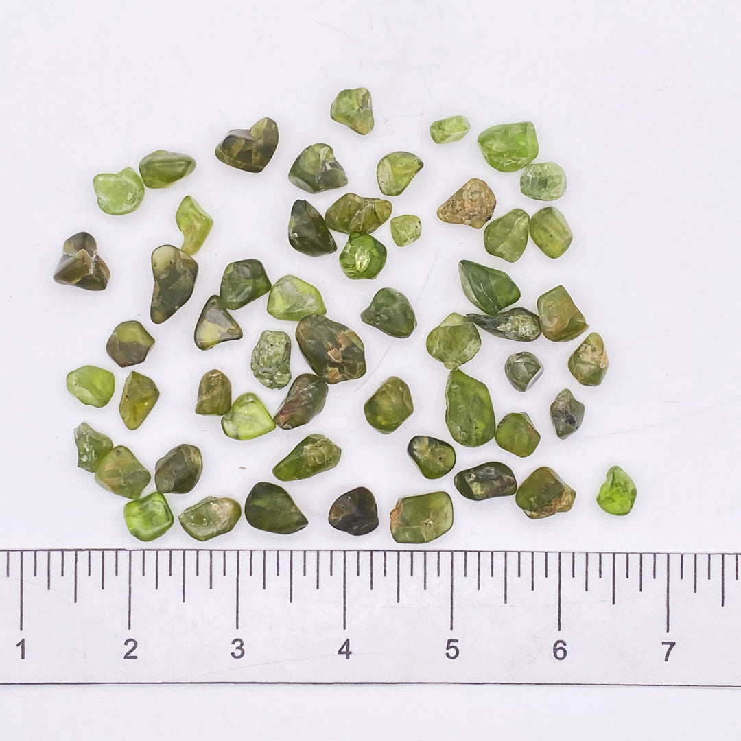 Peridot (Polished) P202