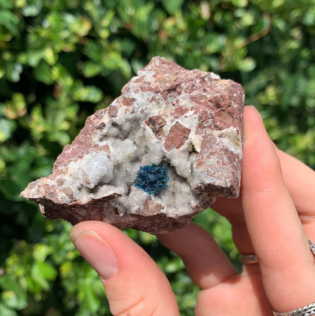 Cavansite on Matrix CAV1-22