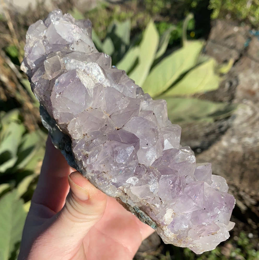Amethyst Cluster CCC31