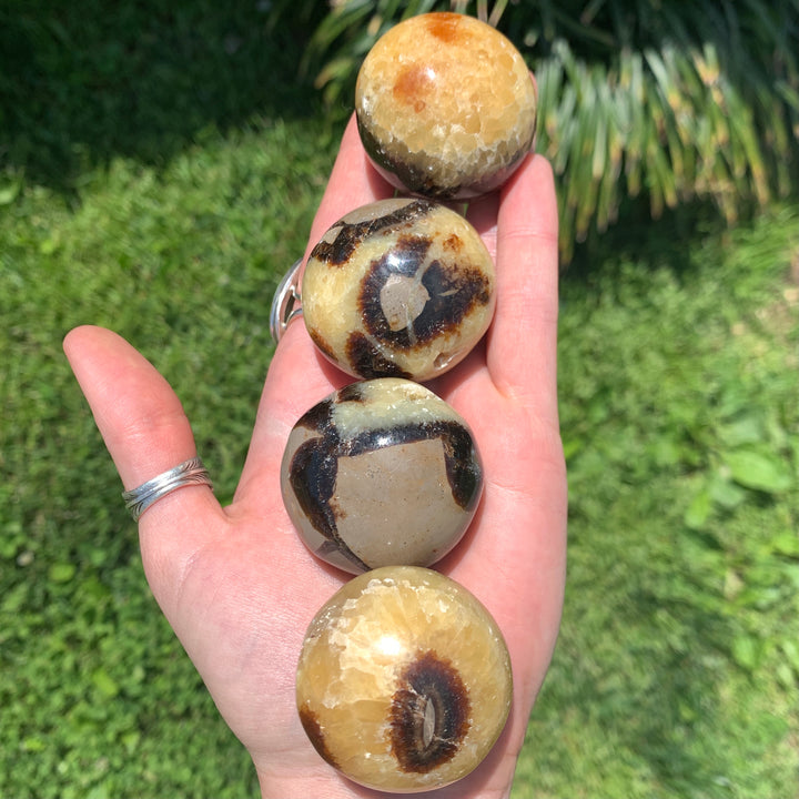 Septarian Dragon Egg Palm Stone PS13-20