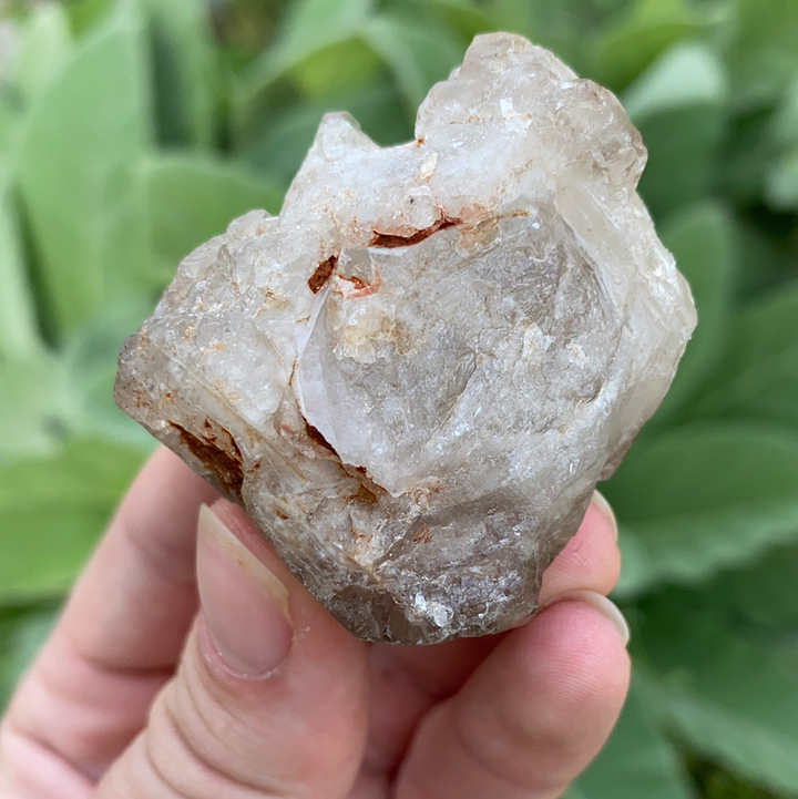 Smoky Elestial Quartz Cluster-ELE2-2