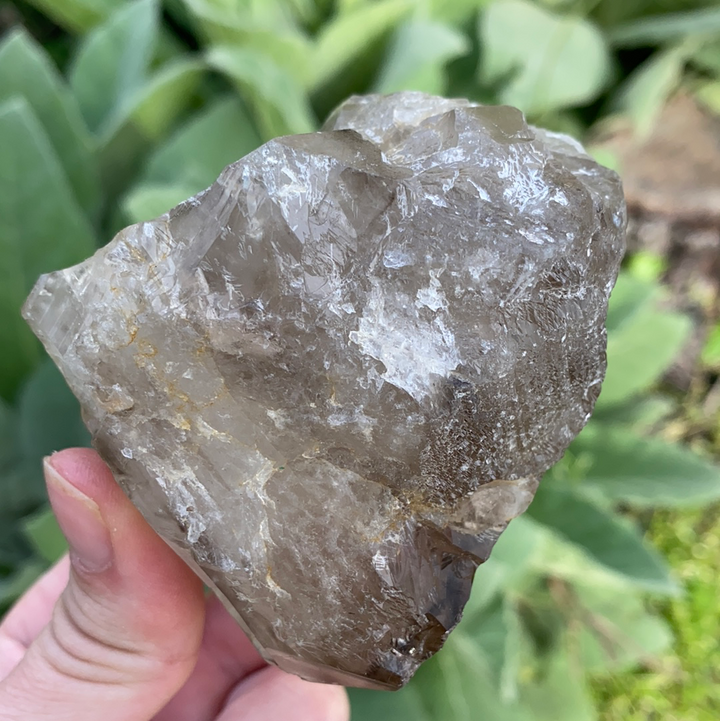 Smoky Elestial Quartz Cluster-ELE2-20