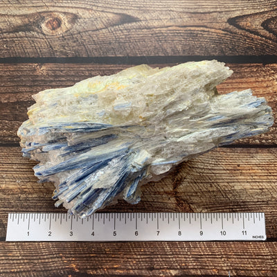 Blue Kyanite Rough Specimen BKY1-2