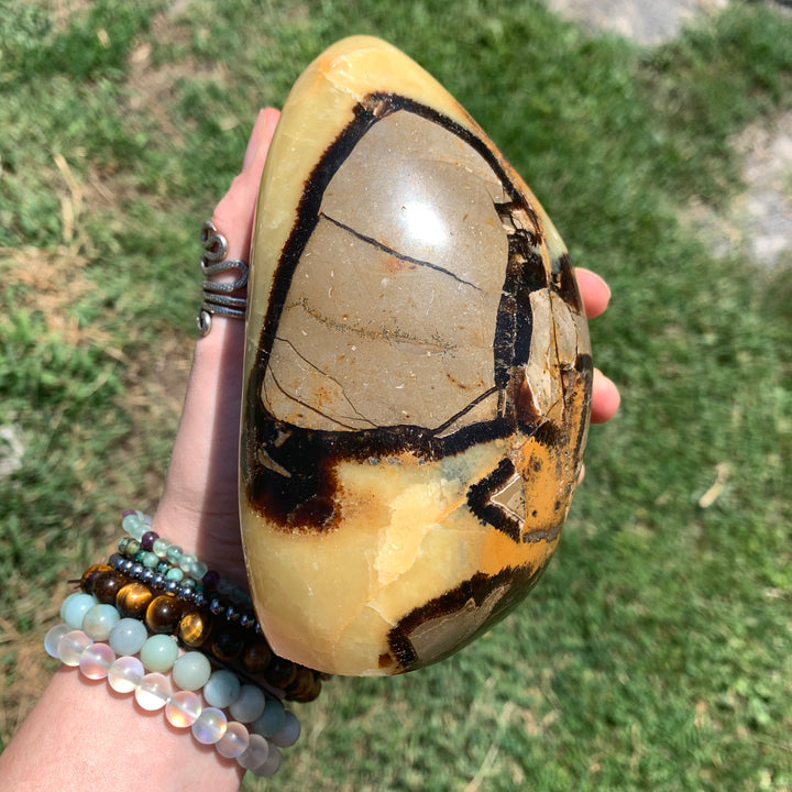 Septarian CCEC650