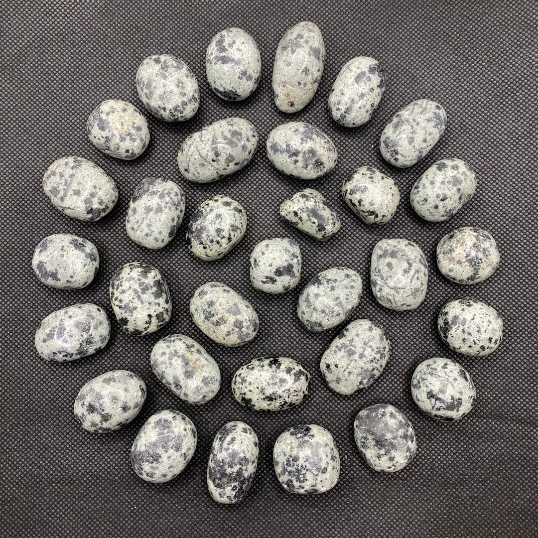 Jasper (Dalmatian) Polished J234