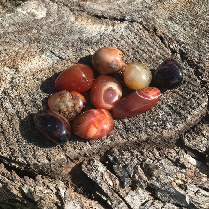 Red Sardonyx Palm Stone PS18-1