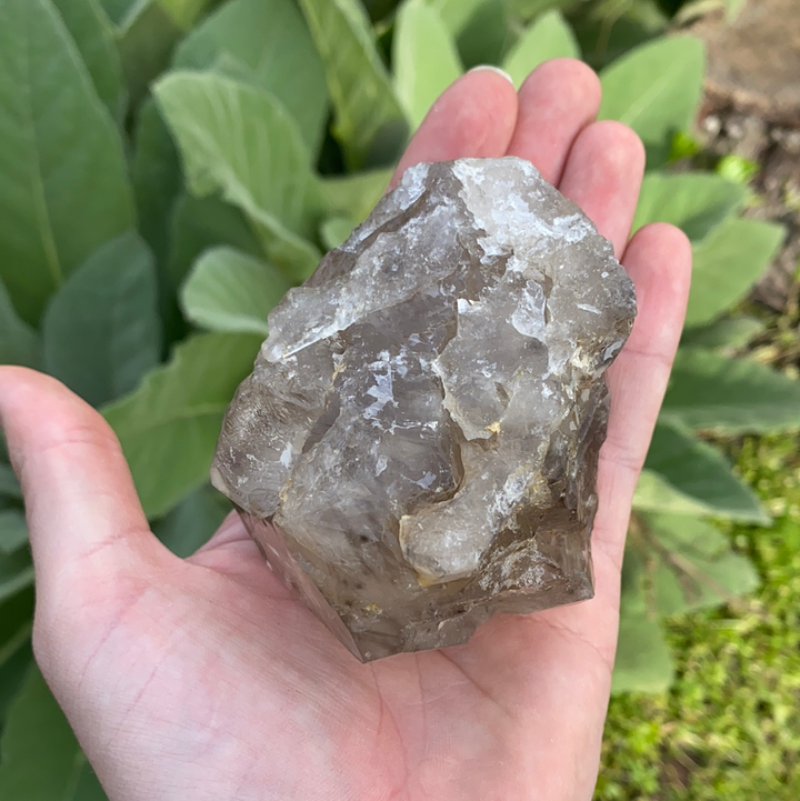 Smoky Elestial Quartz Cluster-ELE2-20