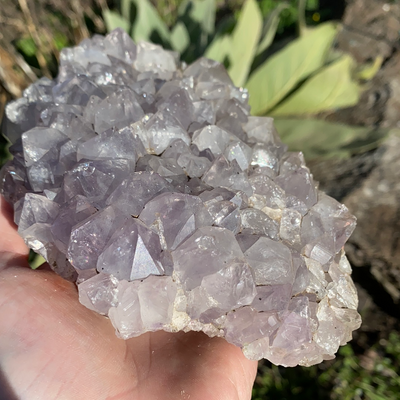 Amethyst Cluster CCC31
