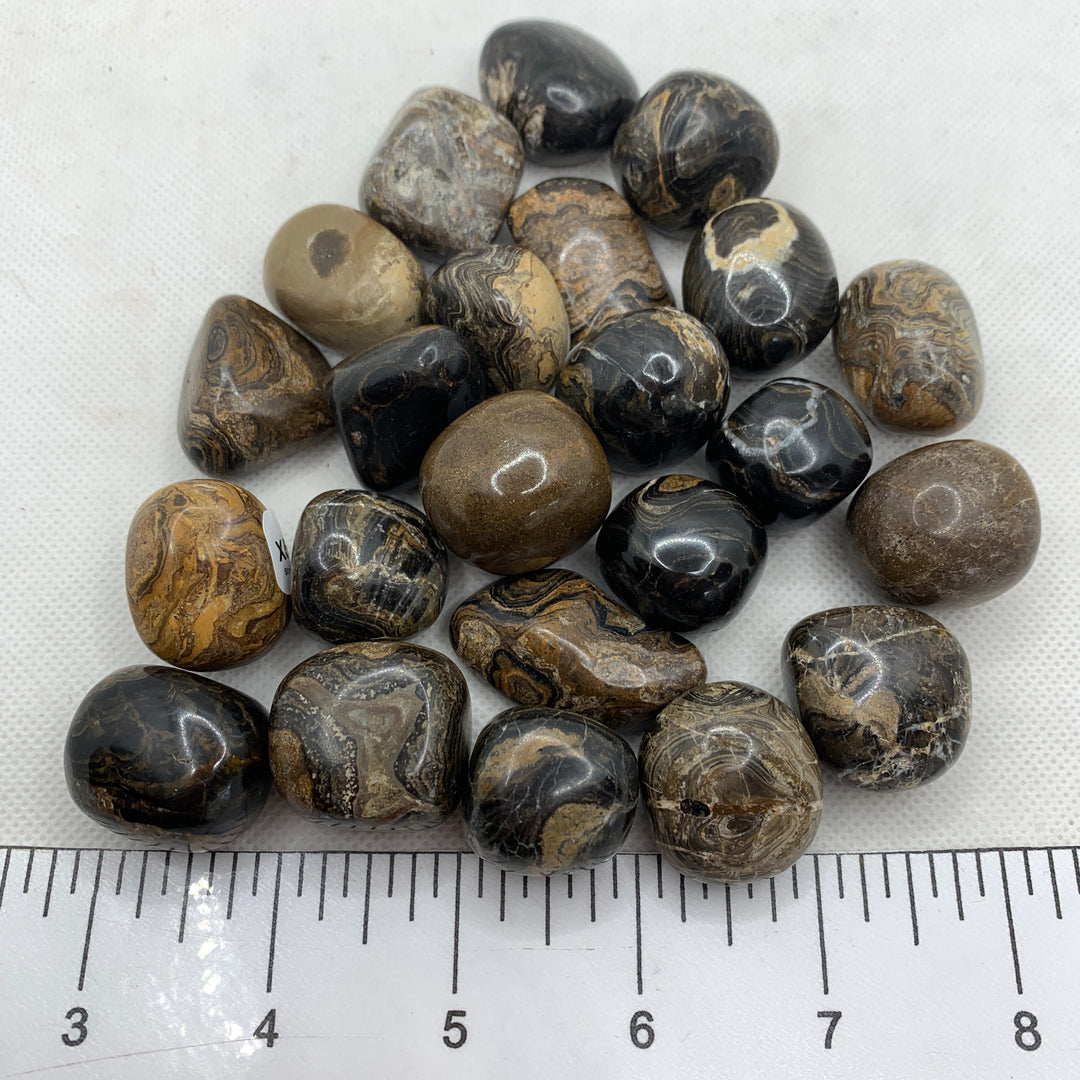 Stromatolite Polished X502