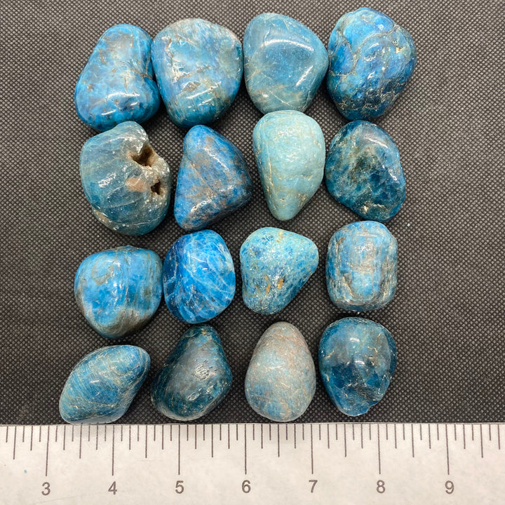 Apatite (Blue) Polished A720