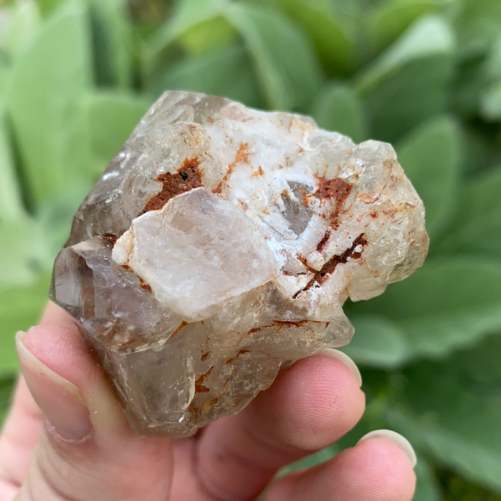 Smoky Elestial Quartz Cluster-ELE2-2