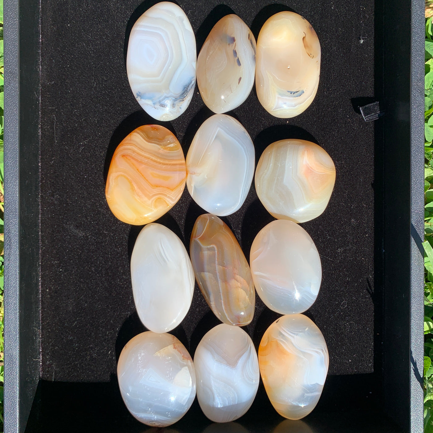 Banded Agate Palm Stone PS29-1