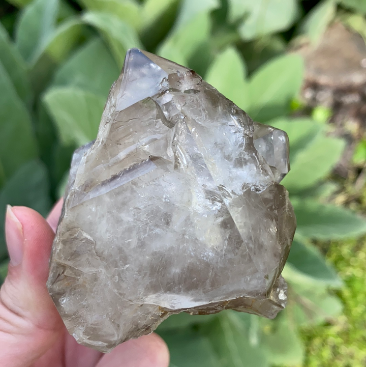 Smoky Elestial Quartz Cluster-ELE2-20