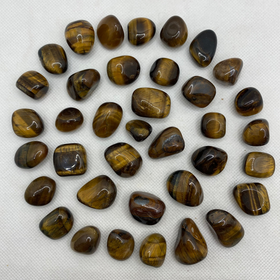 Tiger Eye (Gold) Polished-T302