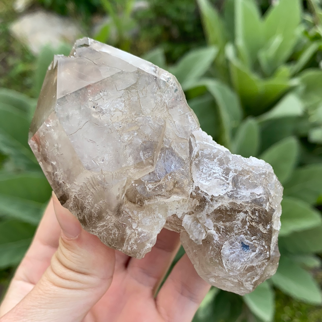 Smoky Elestial Quartz Cluster-ELE2-21