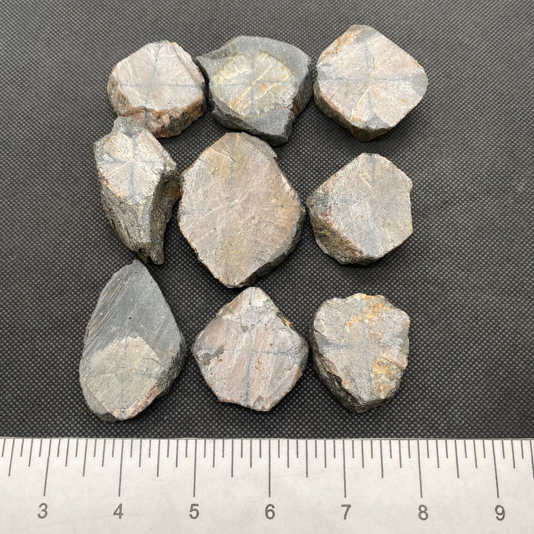 Chiastolite Tab-Rough- C813