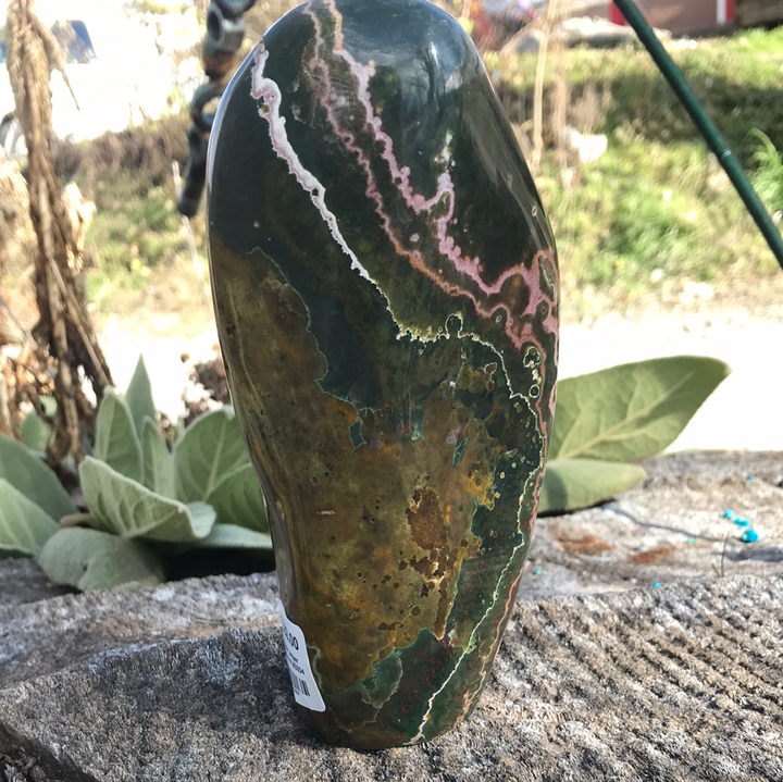 Ocean Jasper Free Form WZ654