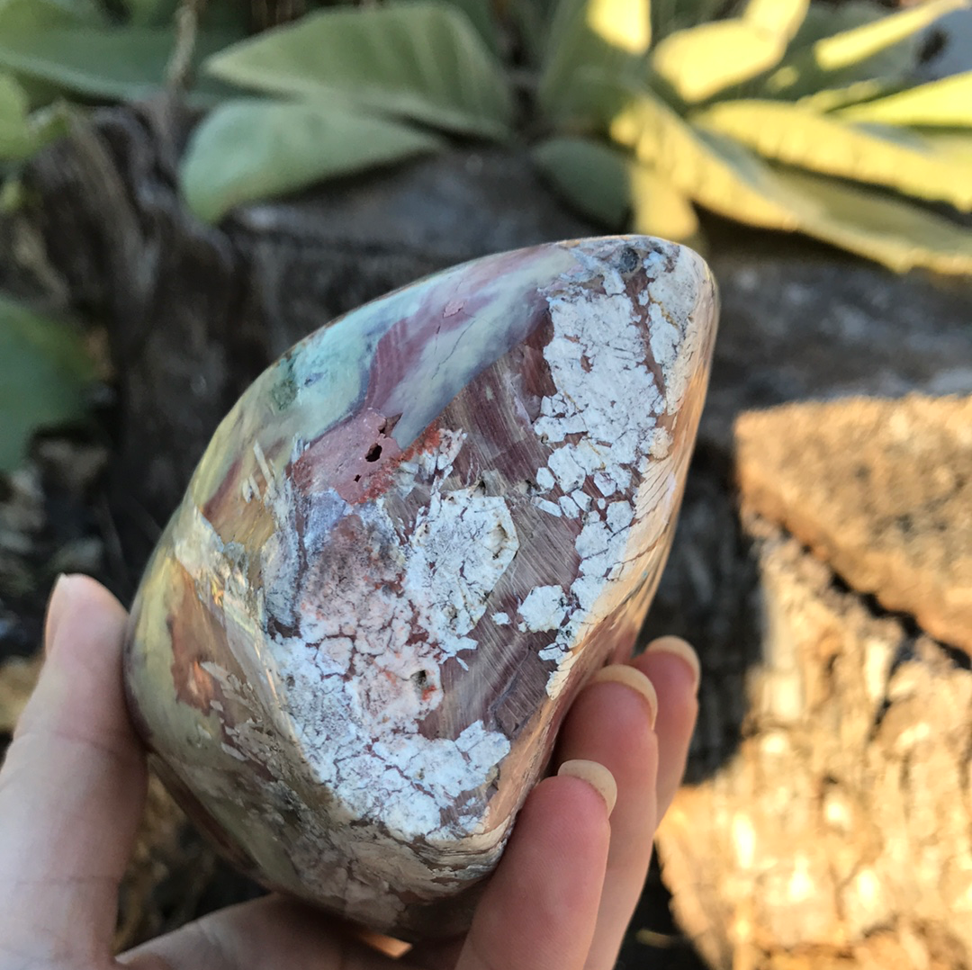 Dragons Blood Jasper FF WZ1054