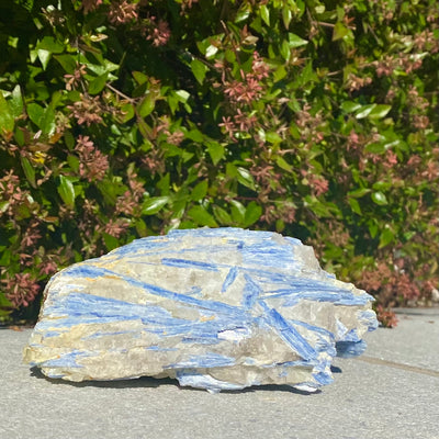 Blue Kyanite Specimen-BKY2-10