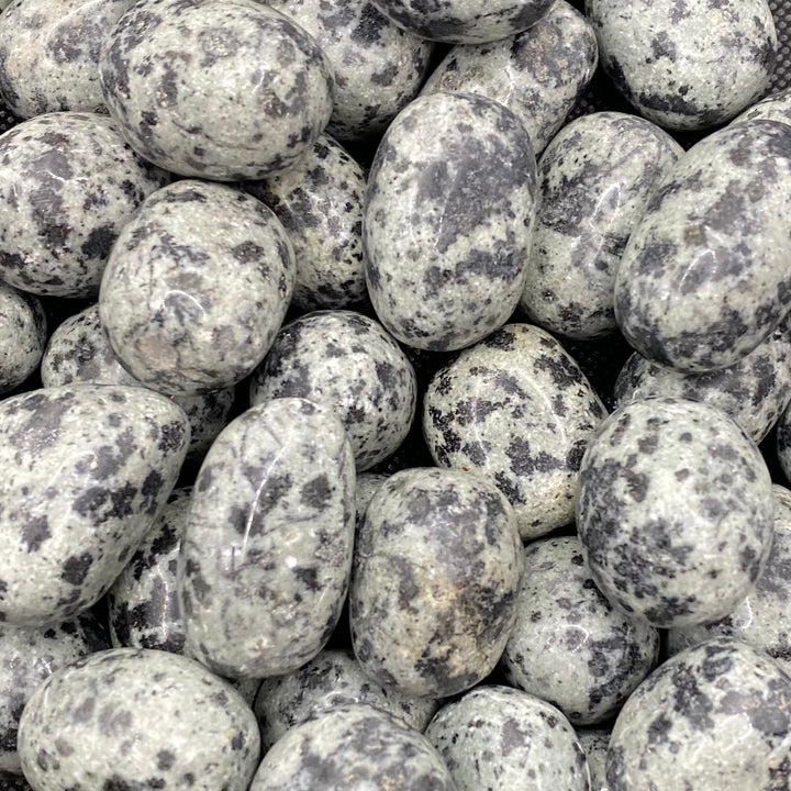 Jasper (Dalmatian) Polished J235