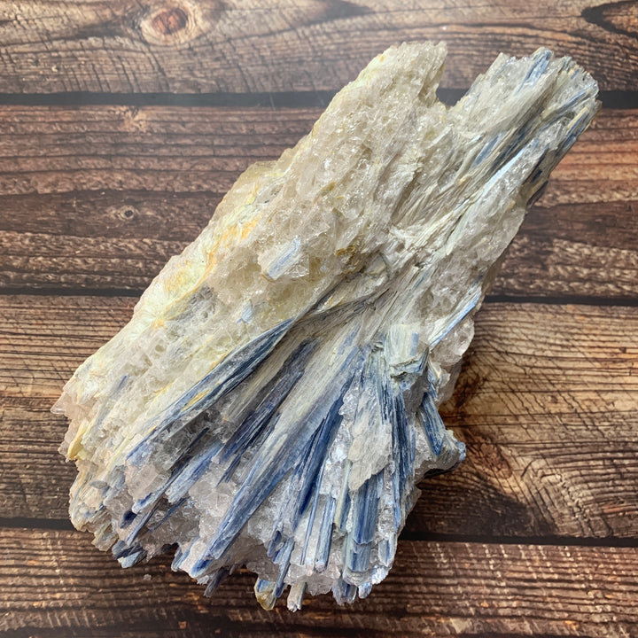 Blue Kyanite Rough Specimen BKY1-2