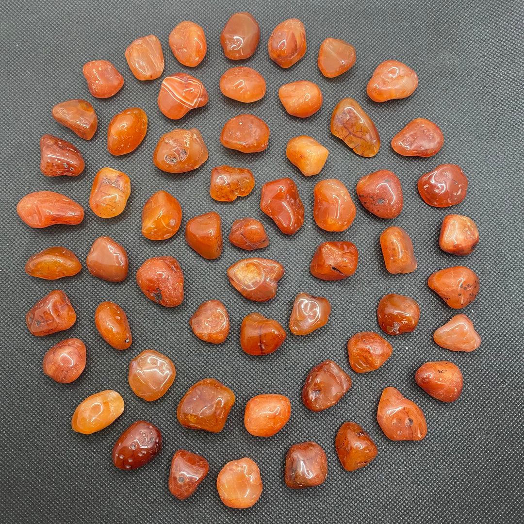 Carnelian Polished C301