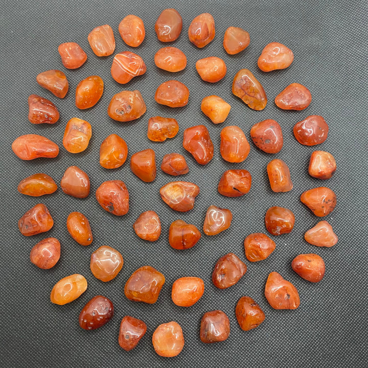 Carnelian Polished C301